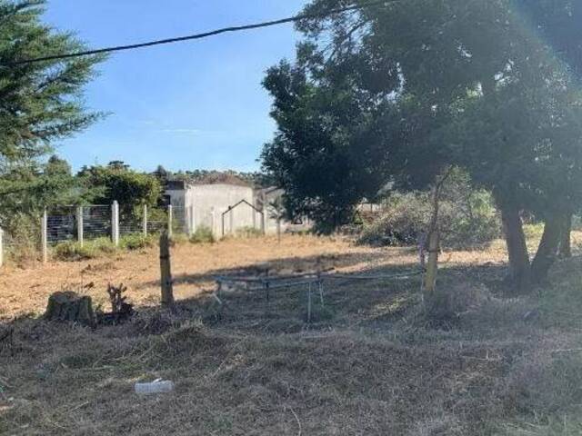 #357 - Terreno o Lote para Venta en Punta del Este - UY-MA - 1