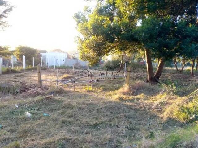 #357 - Terreno o Lote para Venta en Punta del Este - UY-MA - 2