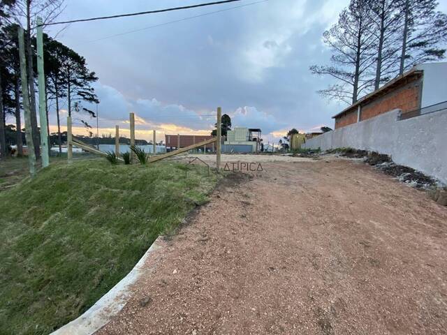 Terreno o Lote para Venta en Punta del Este - 4