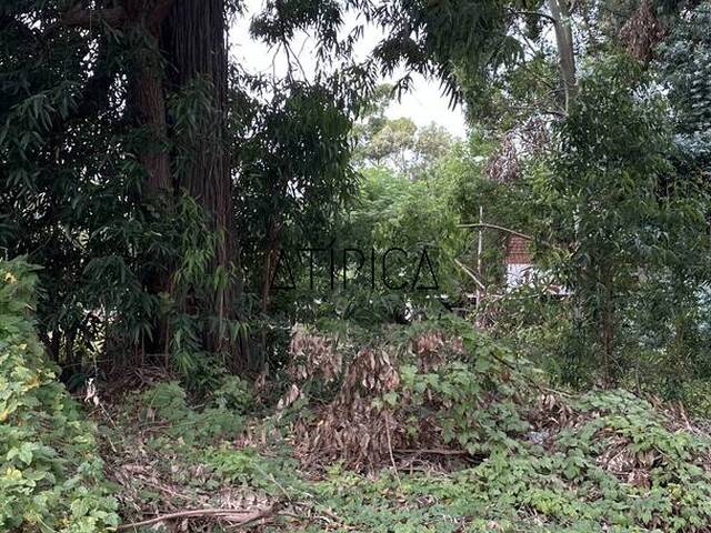 #367 - Terreno o Lote para Venta en Punta del Este - UY-MA - 3