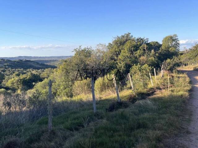 #368 - Campo Productivo para Venta en Punta del Este - UY-MA - 2