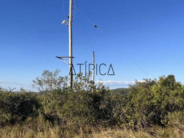 #368 - Campo Productivo para Venta en Punta del Este - UY-MA - 3