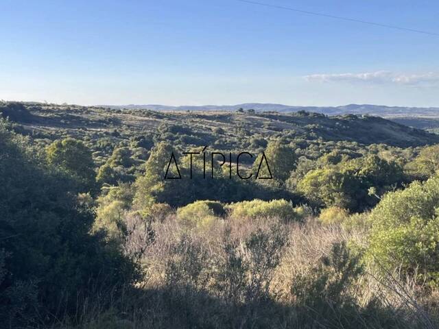 para en - 4