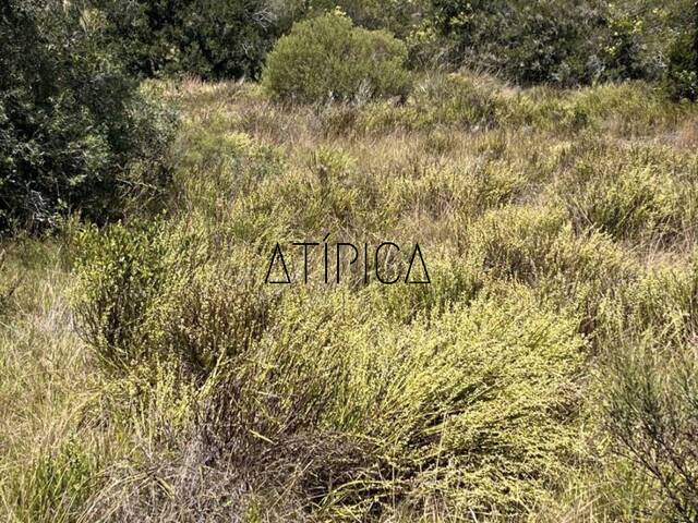  para  en  - 5
