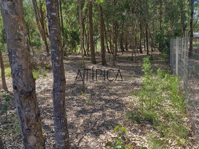 Terreno o Lote para Venta en Punta del Este - 2