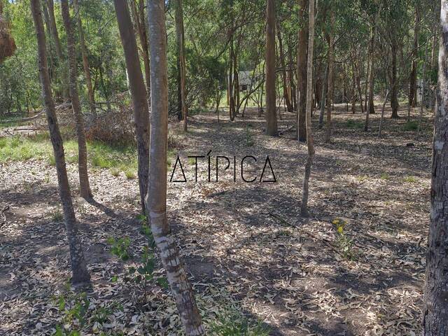 Terreno o Lote para Venta en Punta del Este - 3