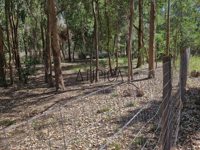Terreno o Lote para Venta en Punta del Este - 5
